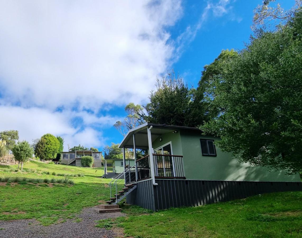 Cozy Otways Accommodation Beech Forest Exterior photo